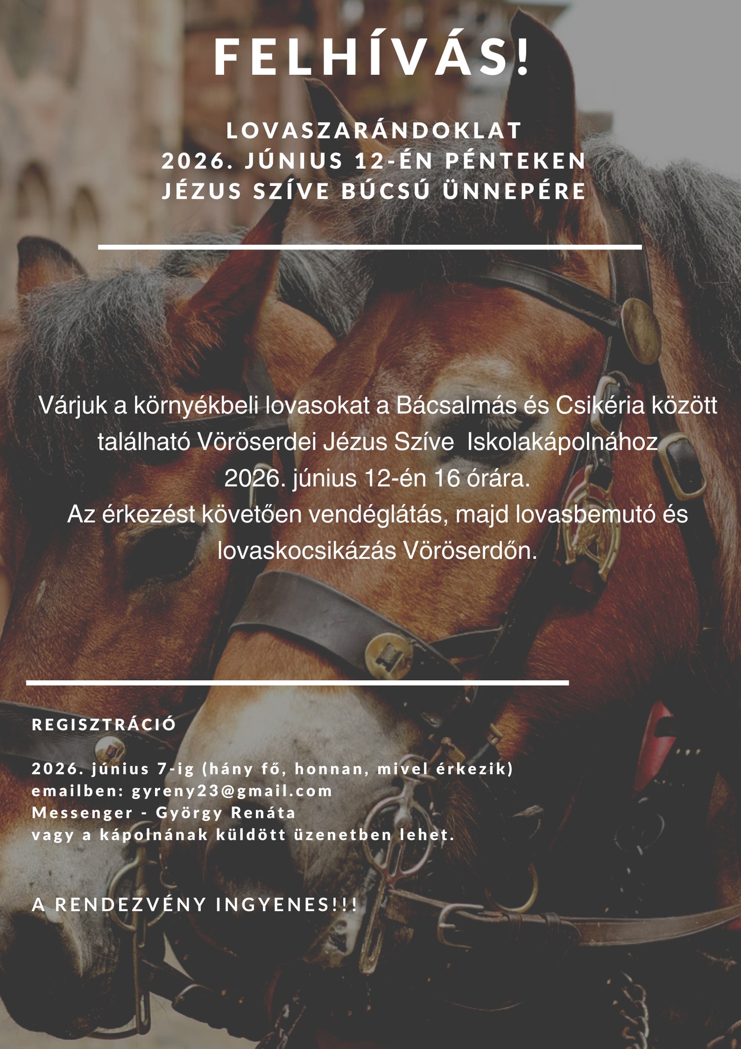 650483629 930865142638425 2448714266110672663 n